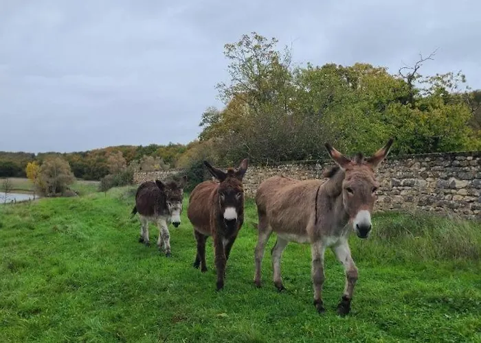 بيت للعطل La Maison Du Regisseur