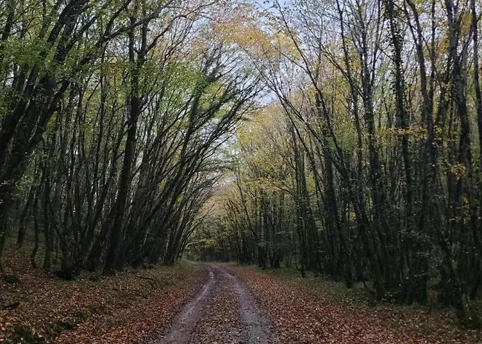 Casa de Férias La Maison Du Regisseur *